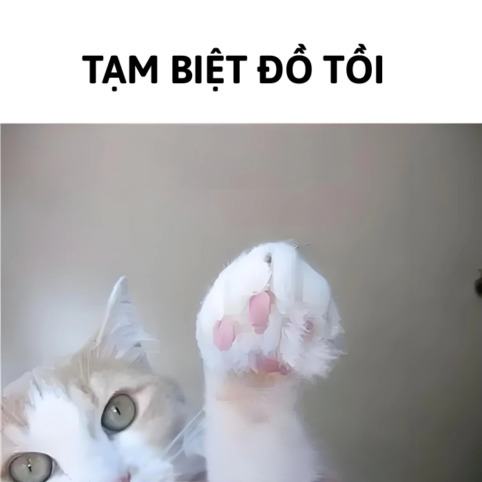 ảnh tạm biệt meme mèo