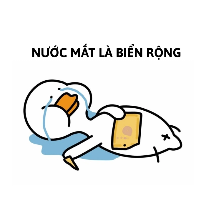 ảnh vịt meme buồn