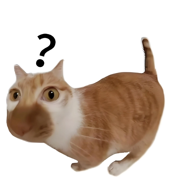 chế ảnh mèo meme hài