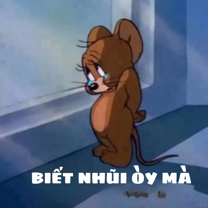 chế meme tom and jerry