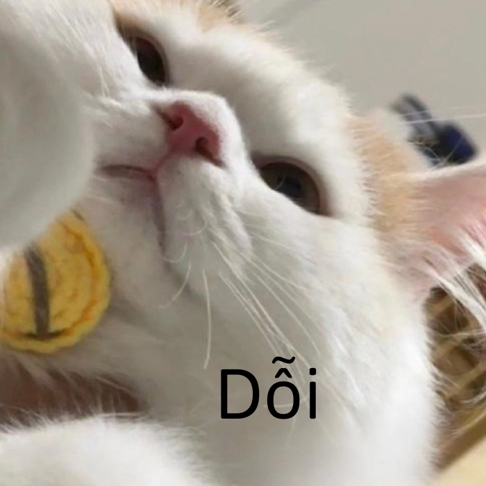 cute meme dỗi