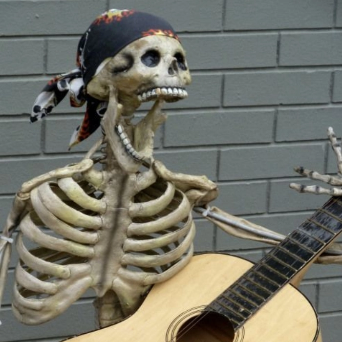 Skeleton meme chế bựa