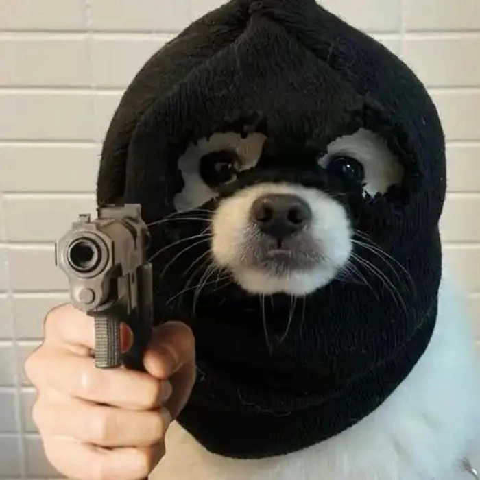 hình ảnh meme cầm súng
