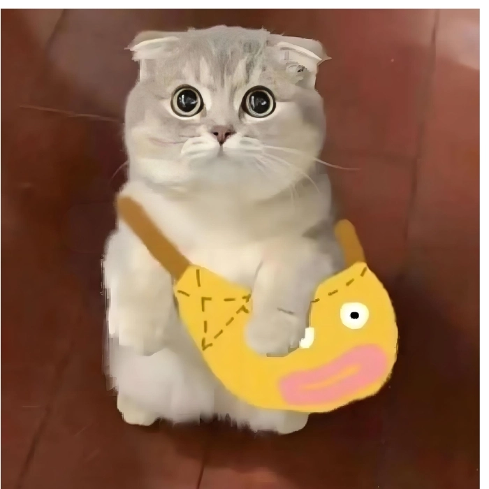 hình ảnh meme cute