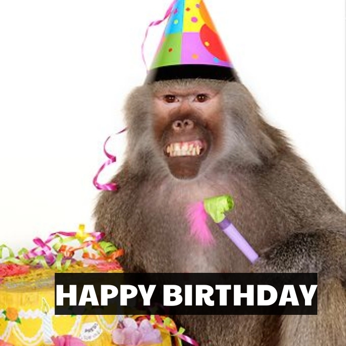 hình ảnh meme happy birthday