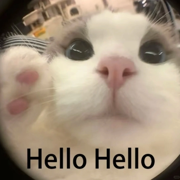 hình ảnh meme hello troll bạn bè