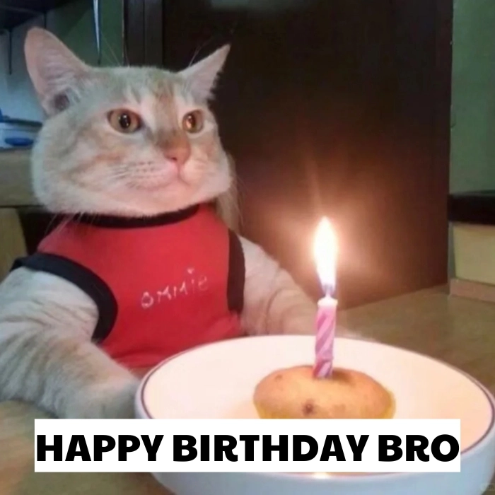 hình bựa meme happy birthday