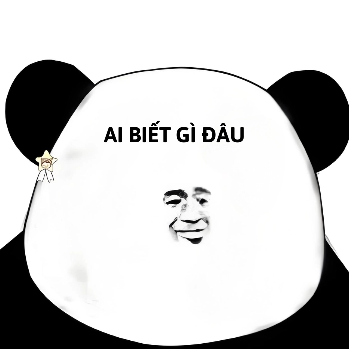 hình meme ai biết gì đâu