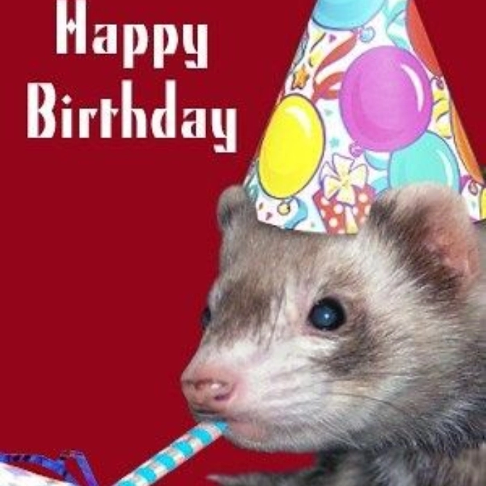 hình meme happy birthday
