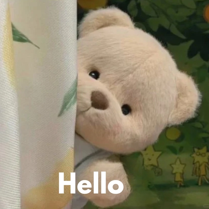 hình meme hello thú vị