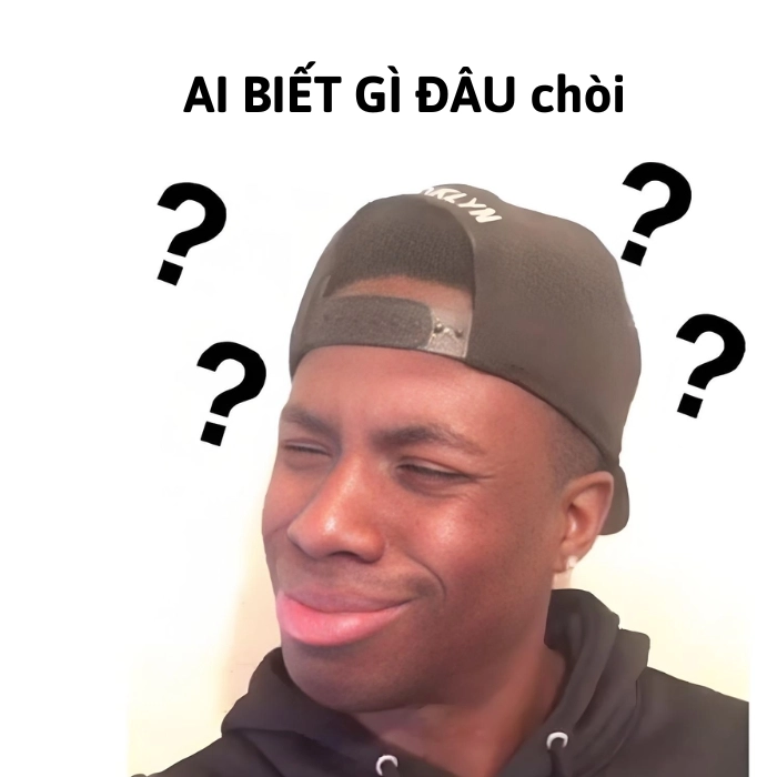 meme ai biết gì đâu chòi