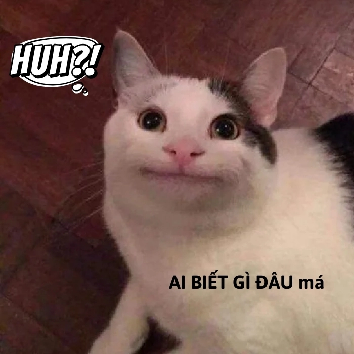 meme ai biết gì đâu má