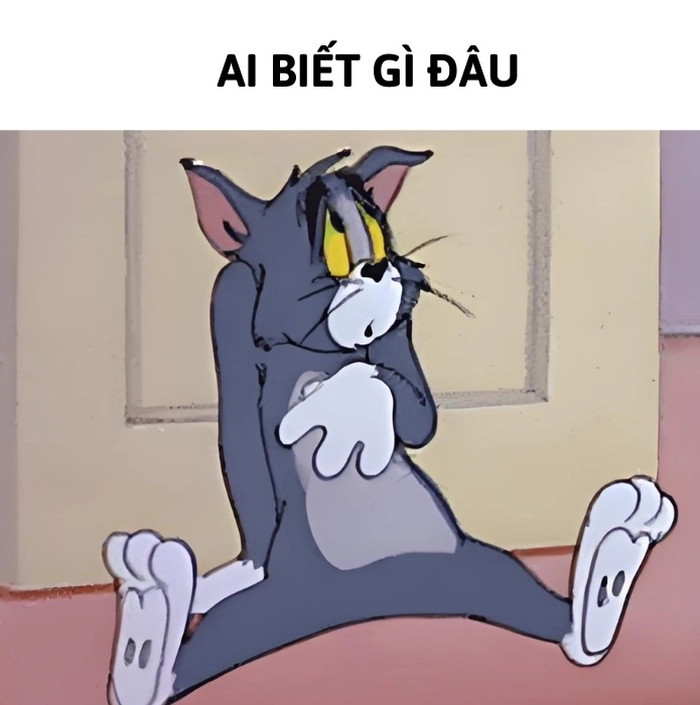 meme ai biết gì đâu mèo tôm