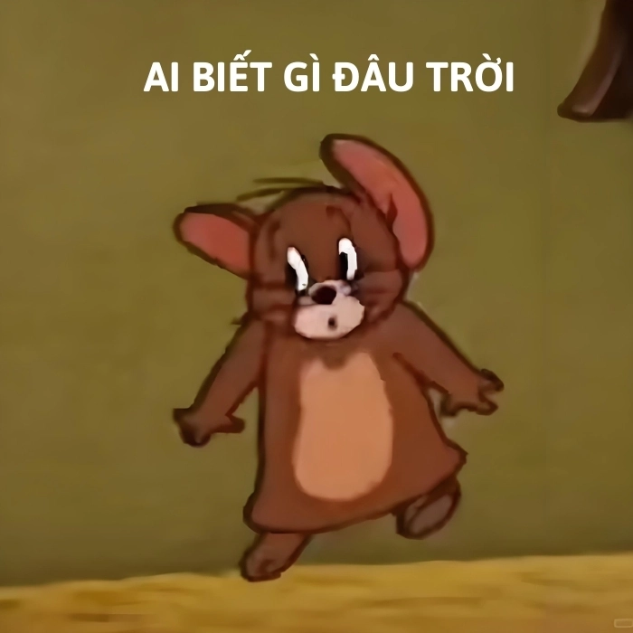 meme ai biết gì đâu trời