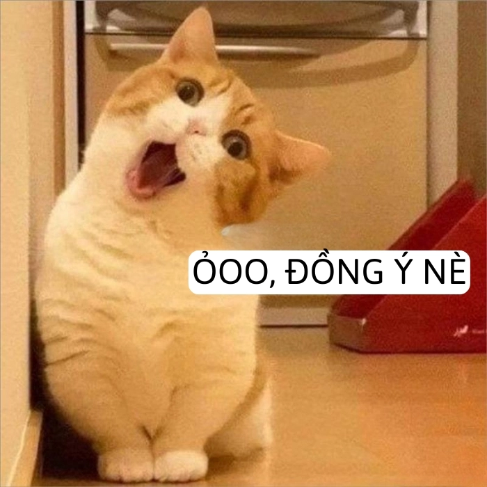 meme đồng ý cute