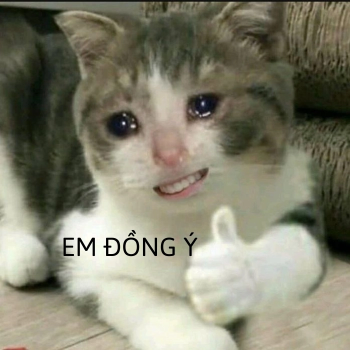 meme đồng ý hài hước