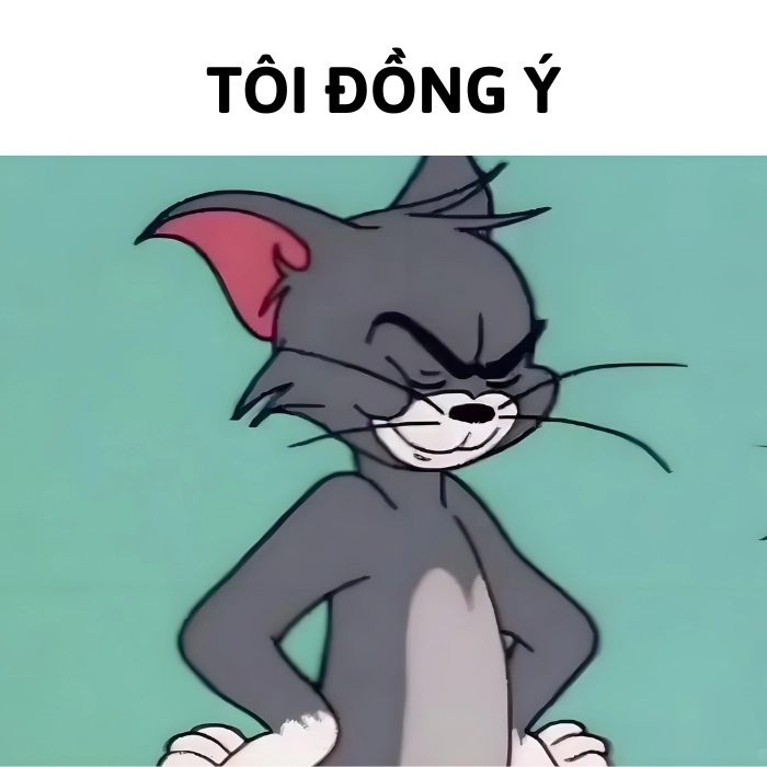meme đồng ý mèo tom
