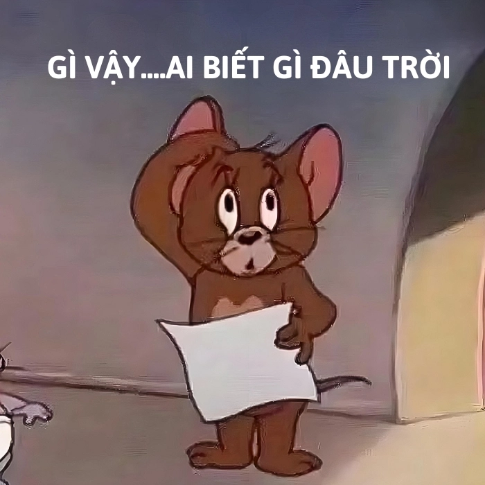 meme gì vậy ai biết gì đâu