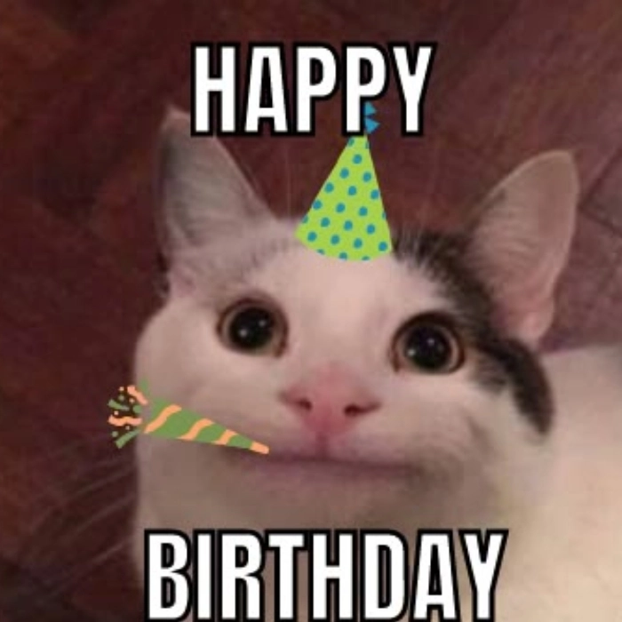 meme happy birthday cute