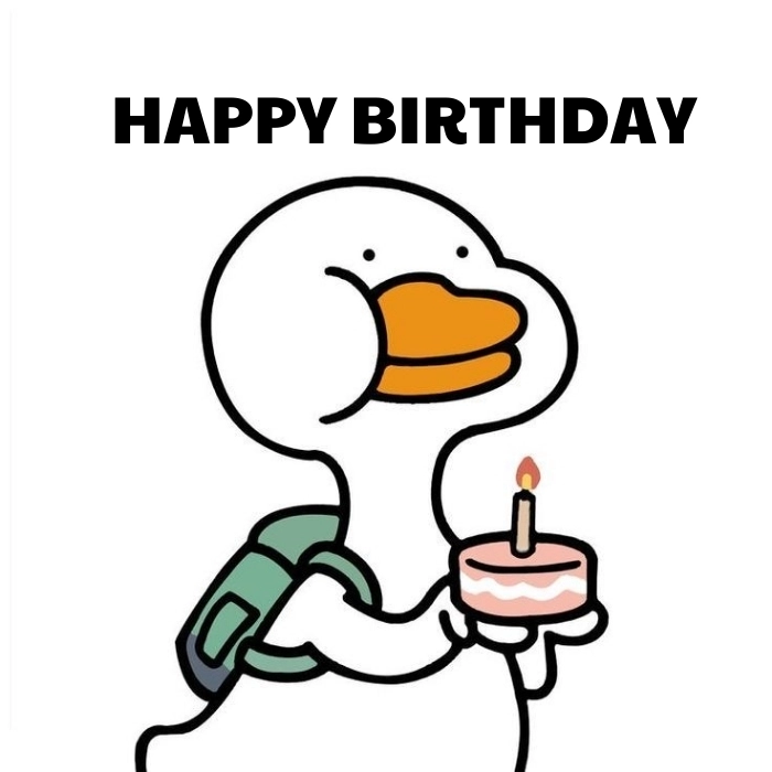 meme happy birthday đáng yêu