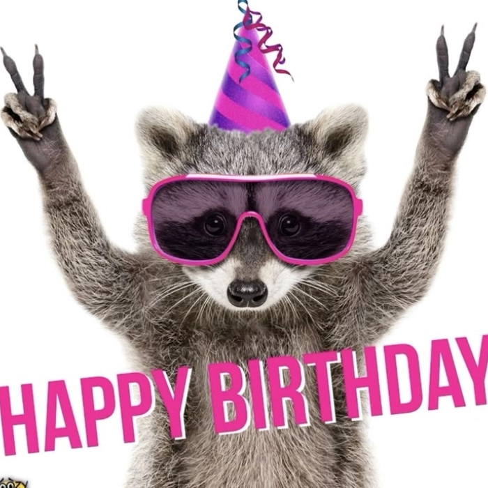 meme happy birthday hài bựa