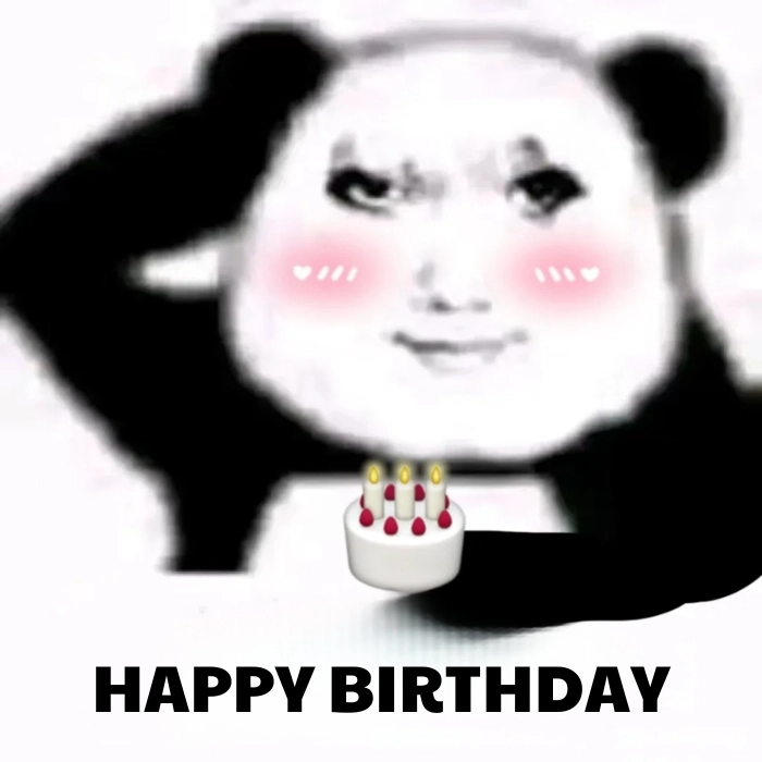 meme happy birthday hài