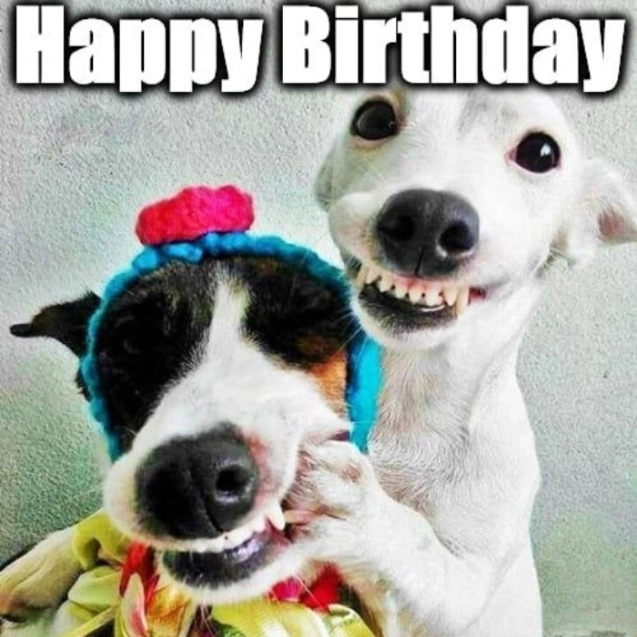 meme happy birthday khắm bựa