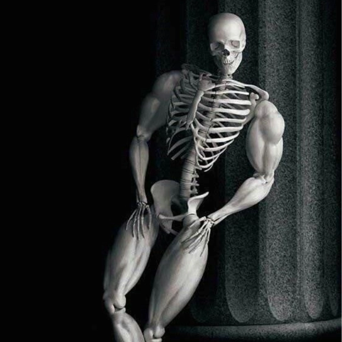 meme skeleton cơ bắp