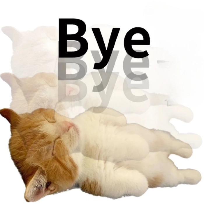 Meme tạm biệt cute lạc lối