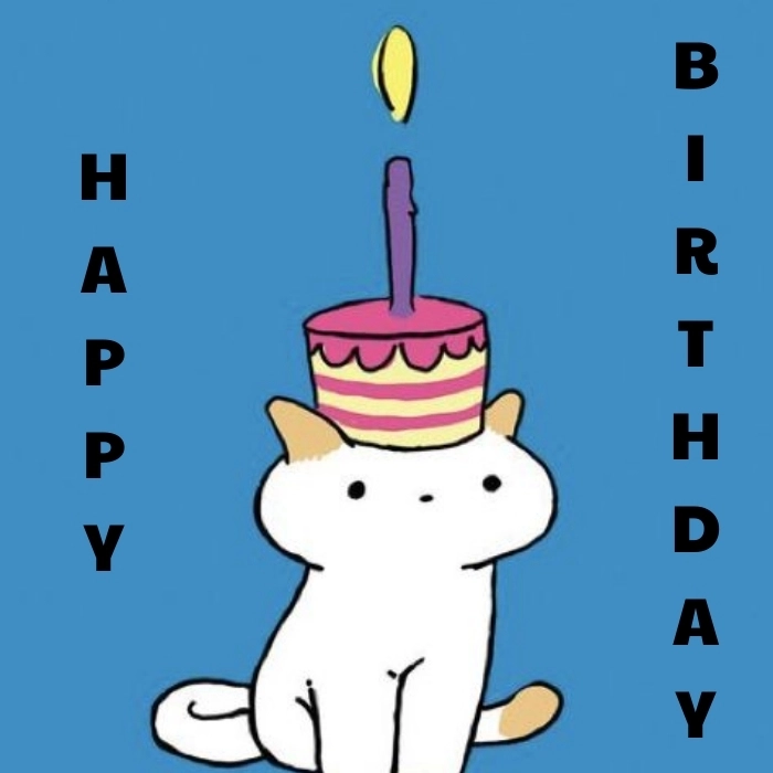 siêu đáng yêu với meme happy birthday