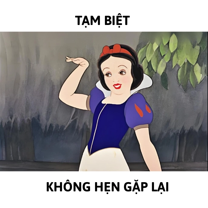 tạm biệt meme chế