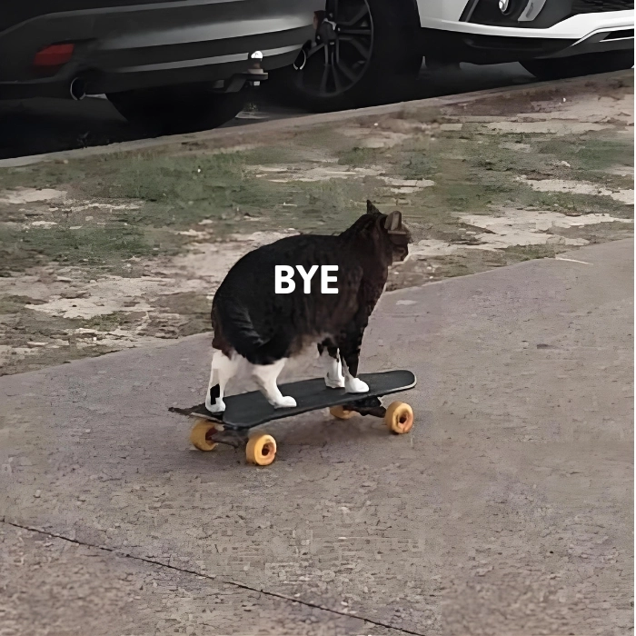 tạm biệt meme mèo bye