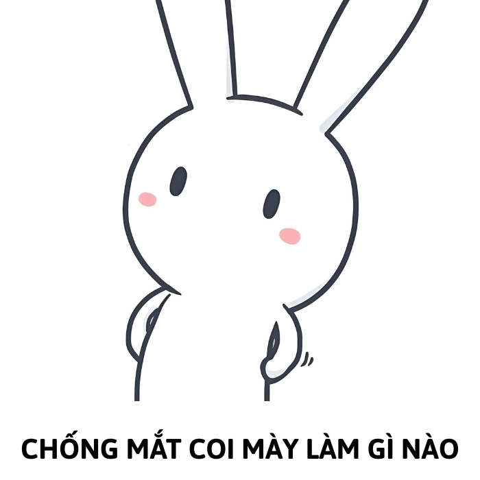 thỏ 7 màu meme chế