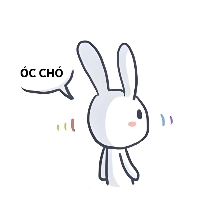 thỏ 7 màu meme óc chó