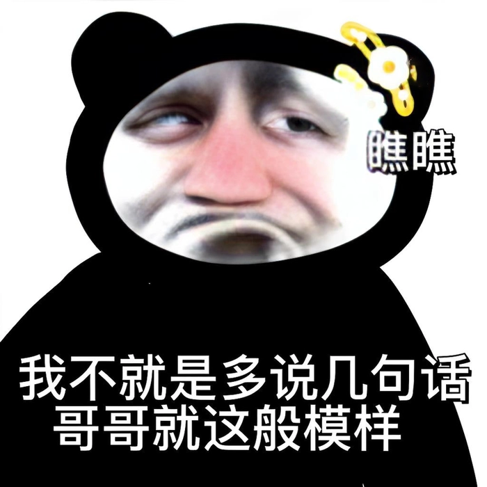Ảnh chế hài meme gấu trúc