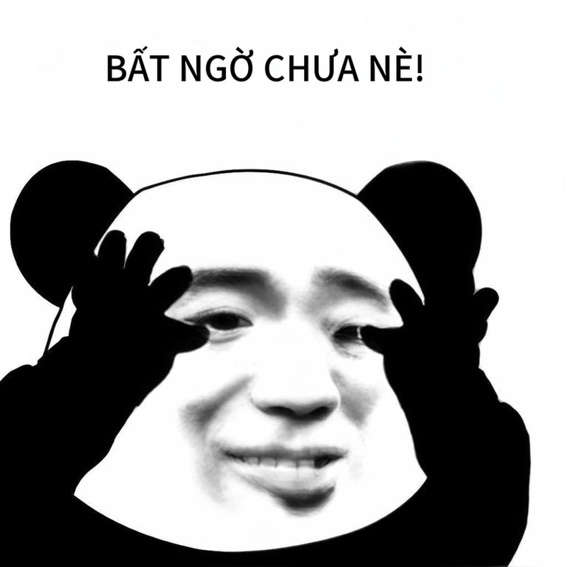 Ảnh chế meme gấu trúc ngạc nhiên lầy lội