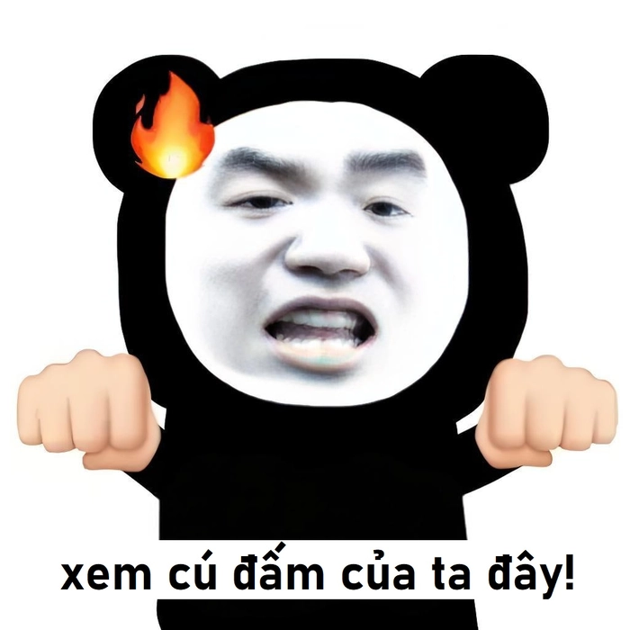 Ảnh chế meme gấu trúc tức giận