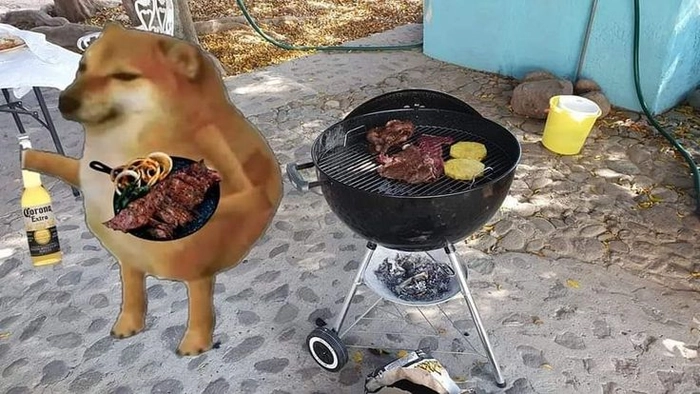 Ảnh chó mèo meme bá đạo
