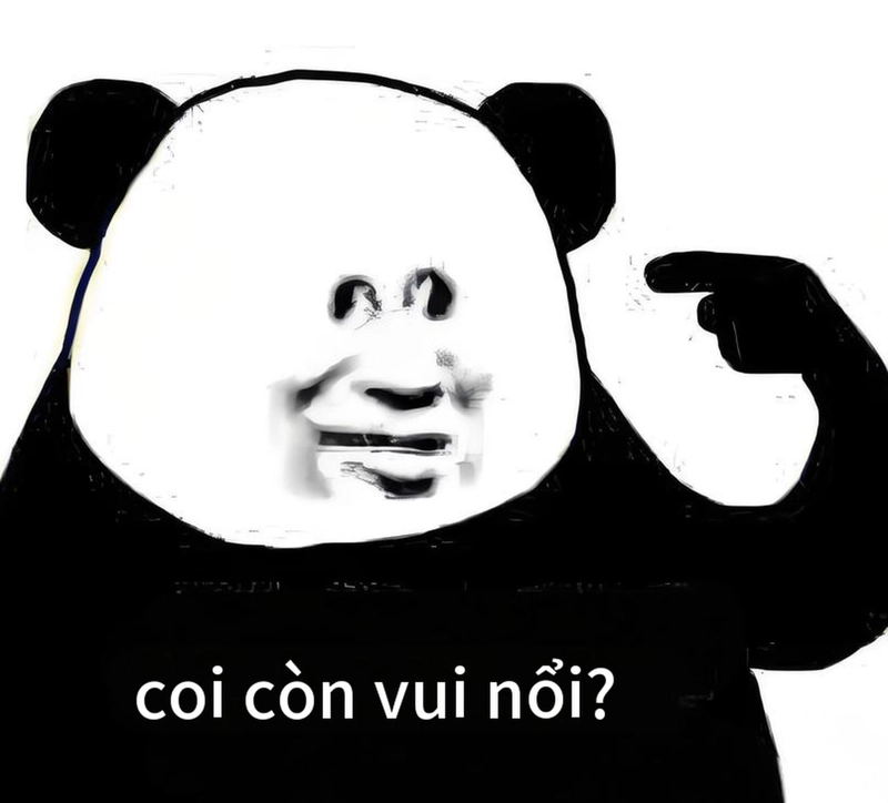 Ảnh gấu trúc meme mắt thâm độc đáo