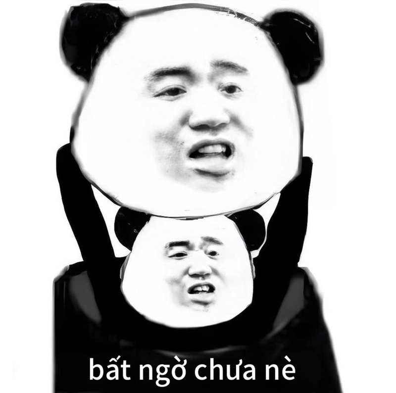 Ảnh gấu trúc meme mắt thâm lầy lội