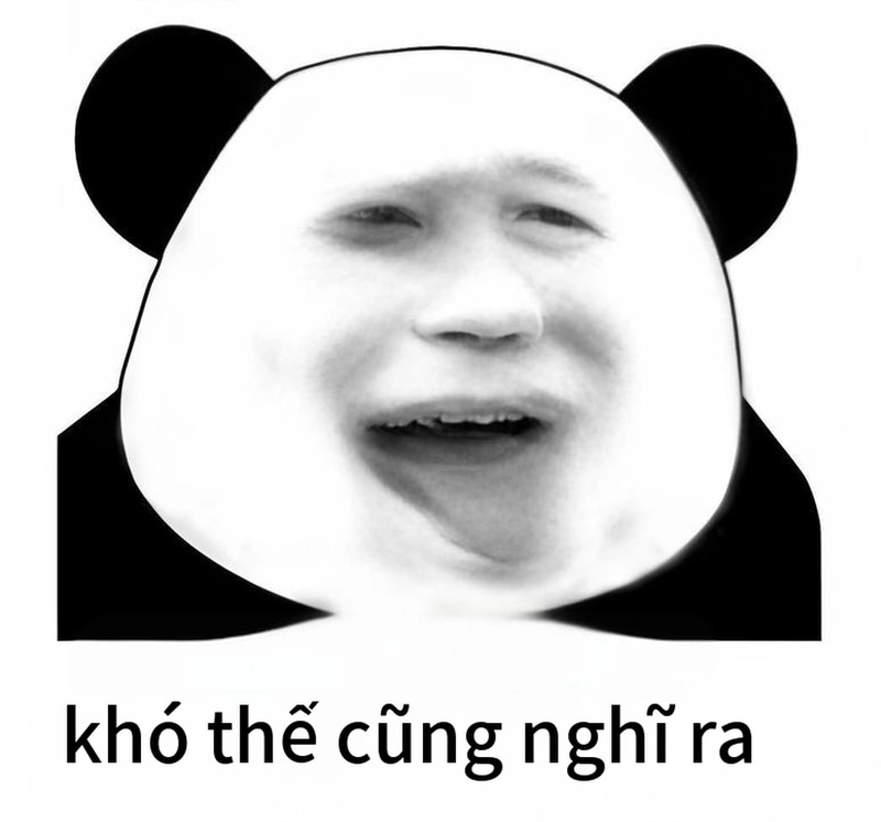 Ảnh gấu trúc meme mắt thâm viral