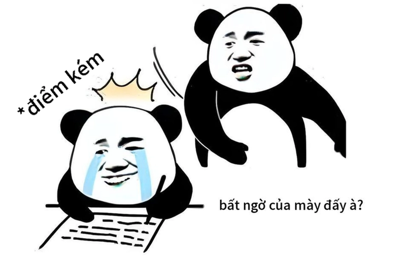 Ảnh meme gấu trúc bất ngờ độc lạ