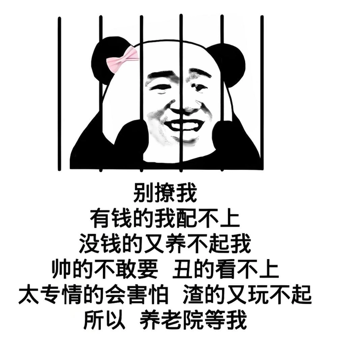Ảnh meme gấu trúc chế