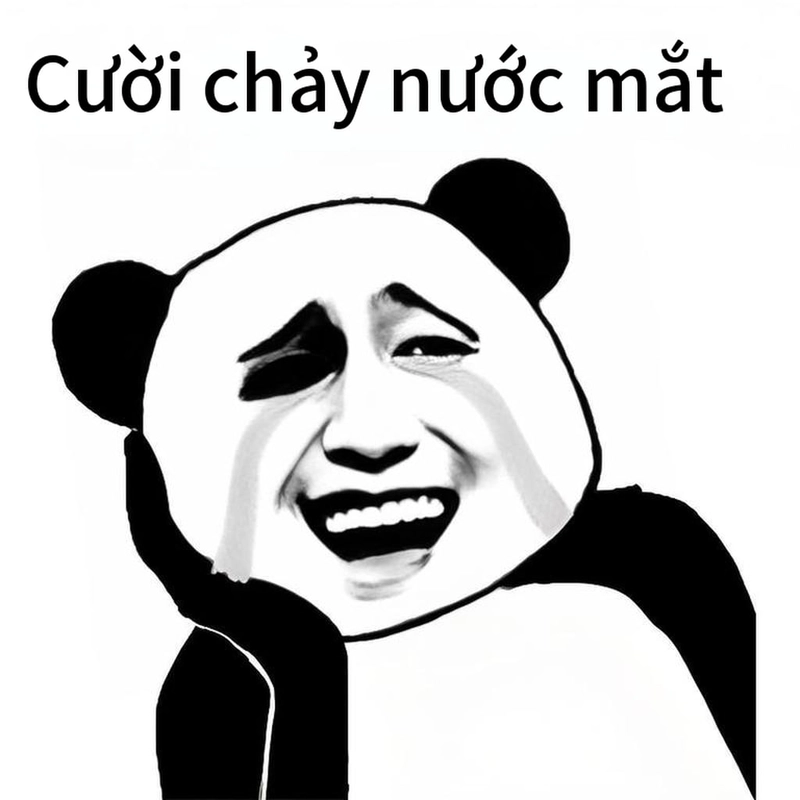 Ảnh meme gấu trúc cười bá đạo