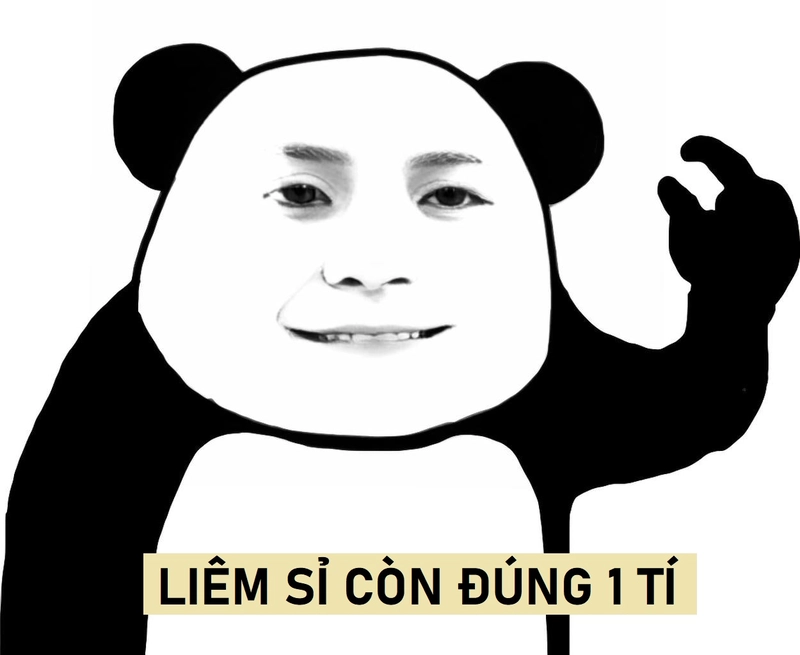 Ảnh meme gấu trúc cười chất lừ