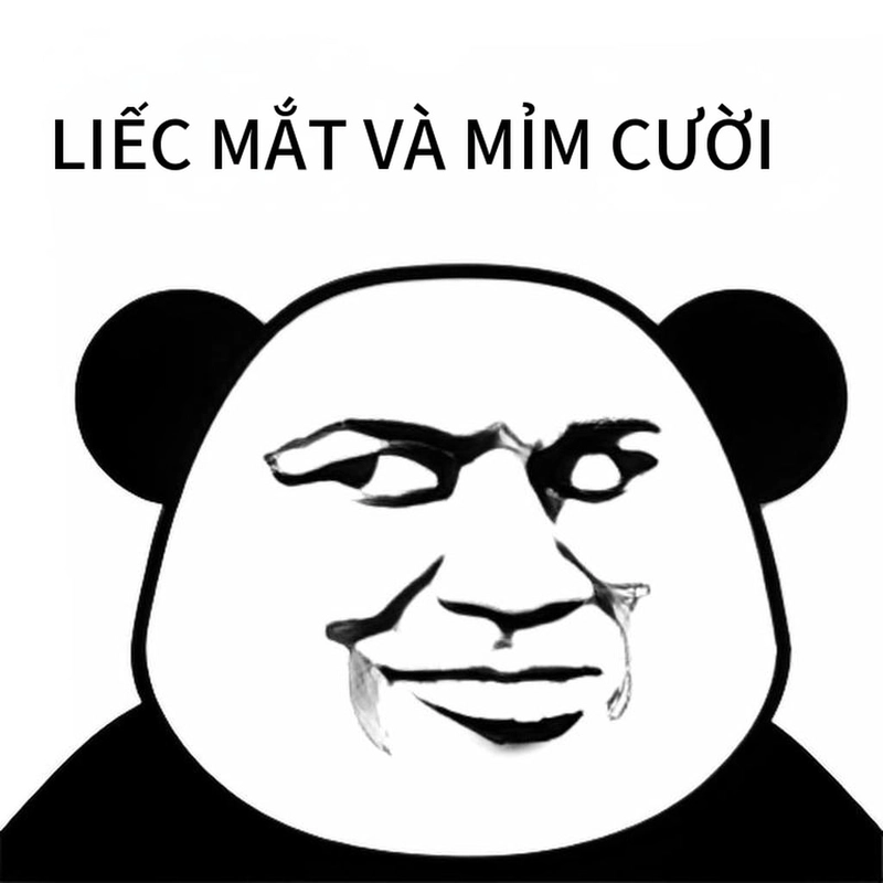 Ảnh meme gấu trúc cười chế bá đạo