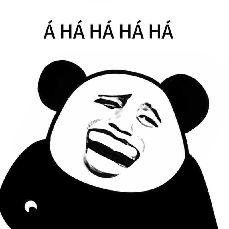 Ảnh meme gấu trúc cười cười ngất