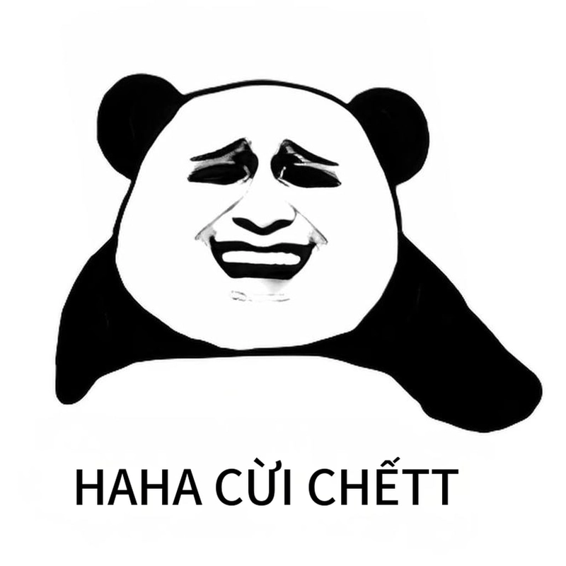 Ảnh meme gấu trúc cười khó đỡ