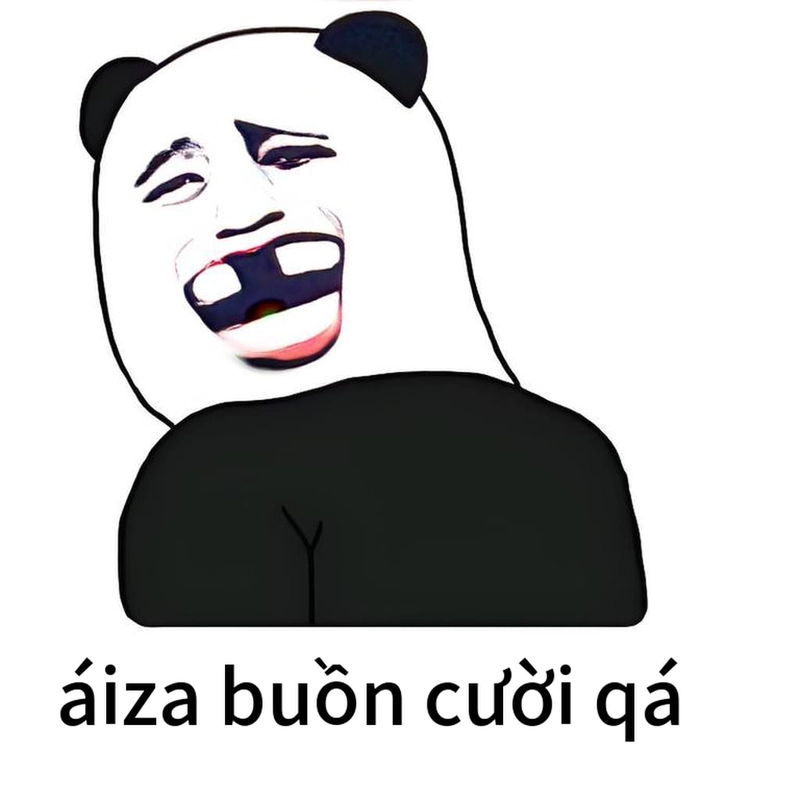 Ảnh meme gấu trúc cười vui nhộn