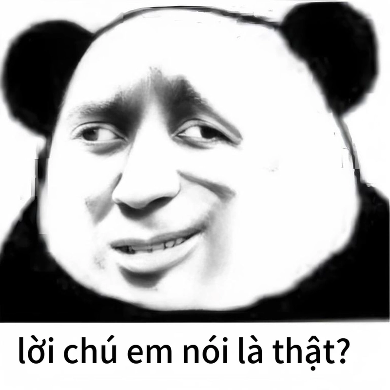 Ảnh meme gấu trúc ngạc nhiên bá đạo